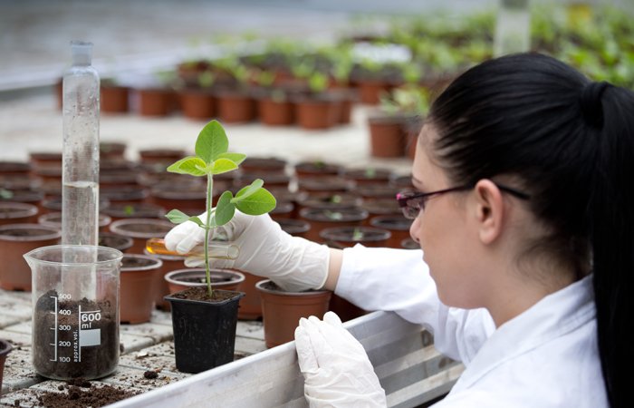 Plants and photosynthesis form part of the Cambridge IGCSE Biology course